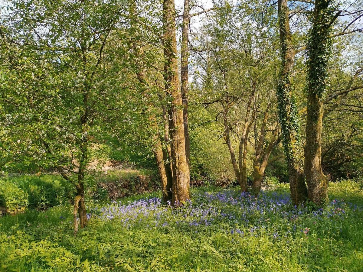 Отель Oak Tree Farm Llanfynydd Экстерьер фото