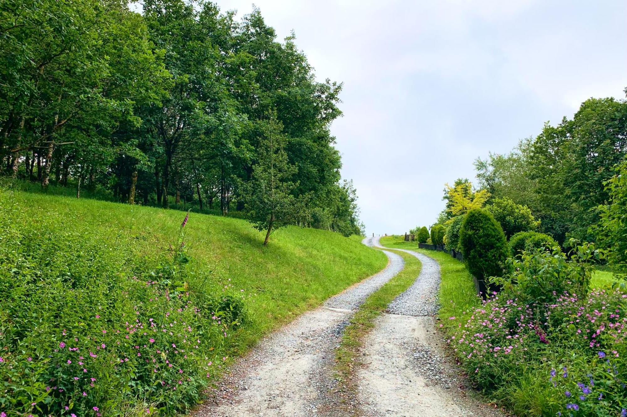 Отель Oak Tree Farm Llanfynydd Экстерьер фото